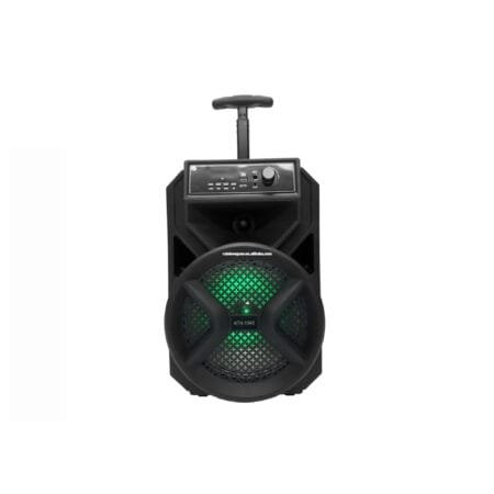GTS-1340 Speaker Karaoke Player